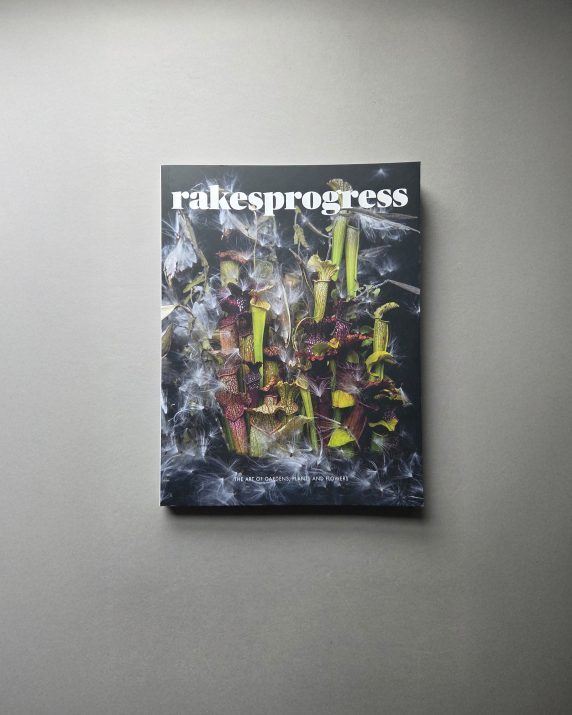 Jon Aaron Green Portrait Photographer London Rakes Magazine Still Life 01