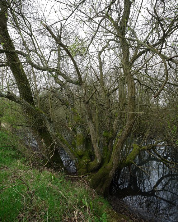 River Great Ouse Synehsam April Daytime 2026